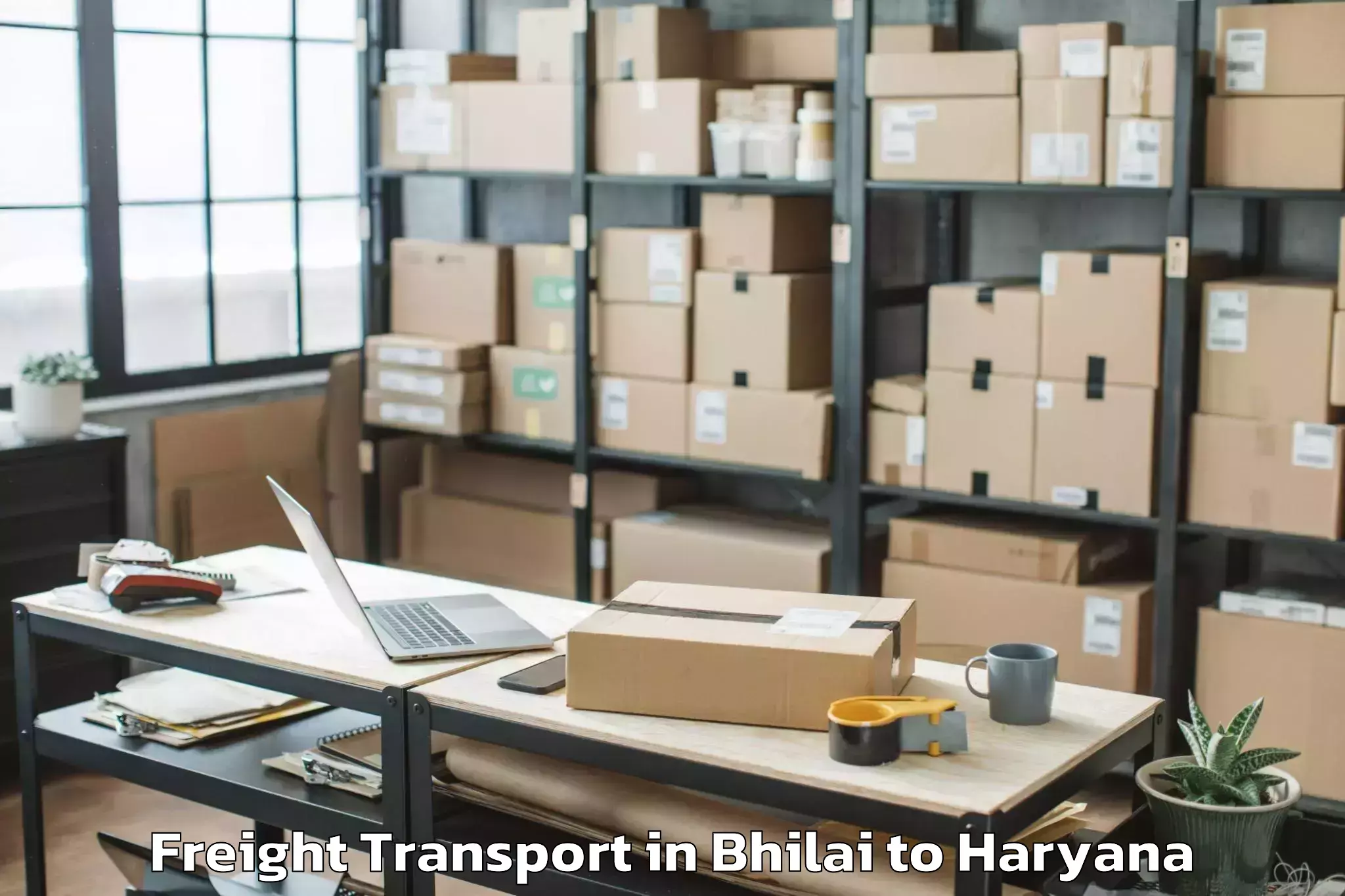 Reliable Bhilai to Khewra Freight Transport